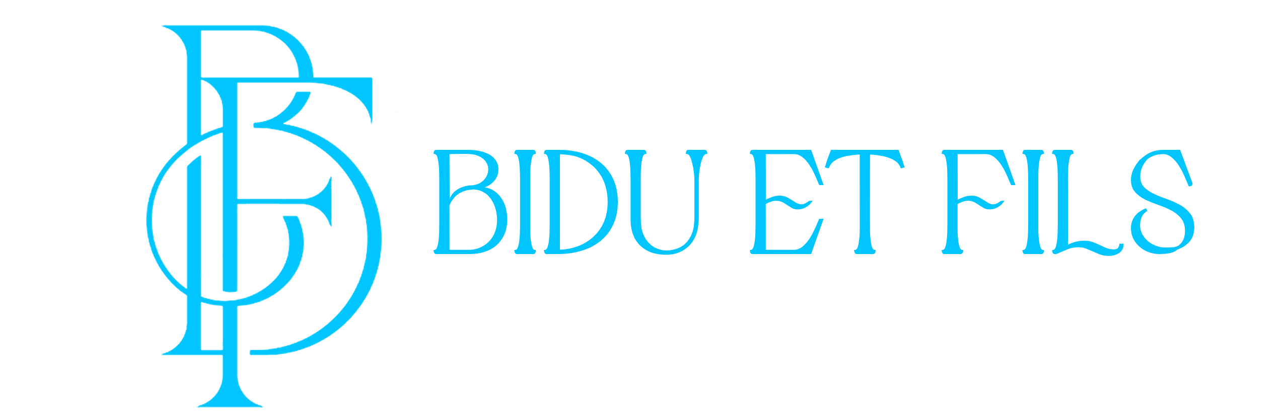 Bidu Et Fils